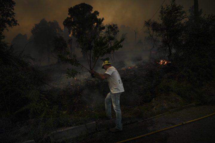 Patricia Melo Moreira-05